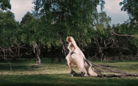 Melancholia