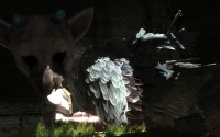 The Last Guardian