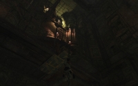 The Last Guardian