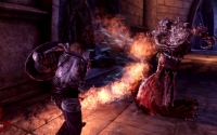 Dragon Age: Origins
