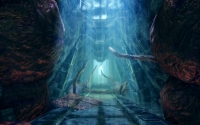 Dragon Age: Origins - Awakening
