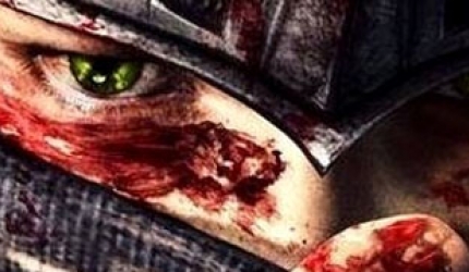 Team Ninja macht Ninja Gaiden 3