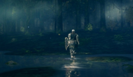 Dark Souls-Erweiterung in der Mache