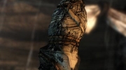 Tomb Raider