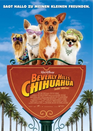 Beverly Hills Chihuahua Poster