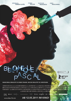 Bibliothèque Pascal Poster
