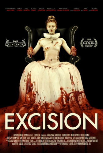 Excision Poster