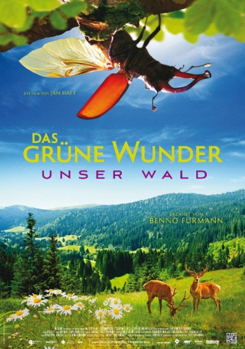 Das grüne Wunder - Unser Wald Poster