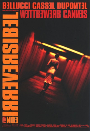 Irreversibel Poster