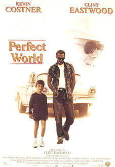 Perfect World Poster