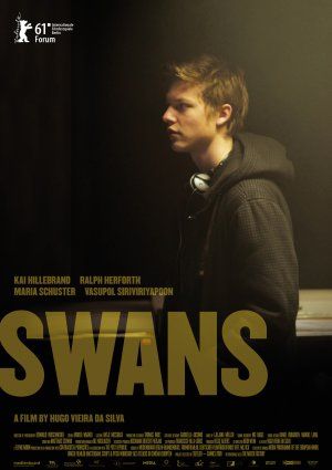 Swans Poster