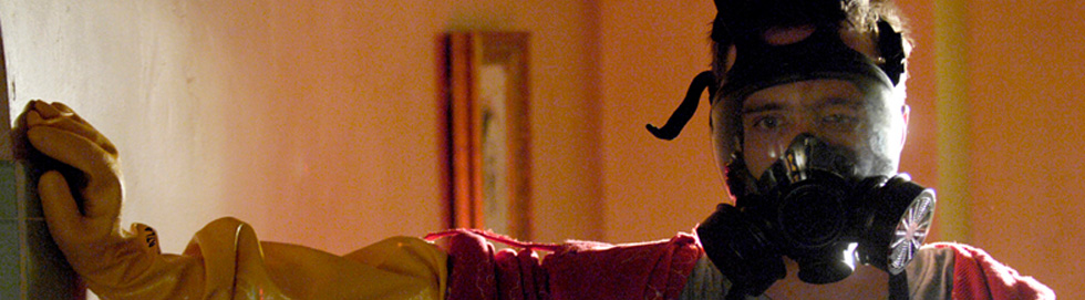 Die Katze ist im Sack Header