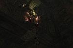 The Last Guardian