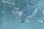 The Last Guardian